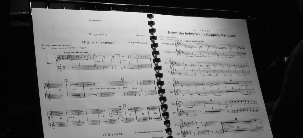 Reflections from the&nbsp;Ruddigorchestra